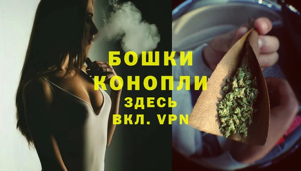 шишки Вяземский