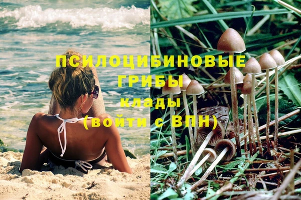 шишки Верхний Тагил
