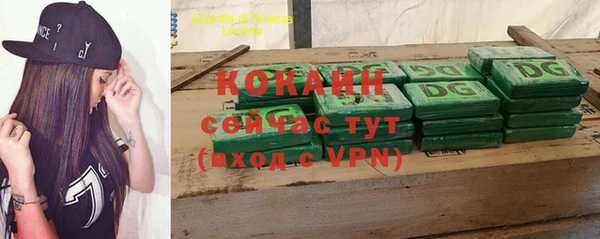 шишки Верхний Тагил