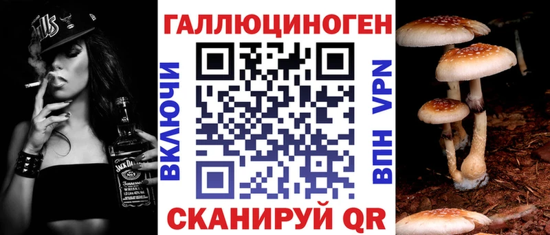 ссылка на мегу tor  Елизово  Галлюциногенные грибы GOLDEN TEACHER 
