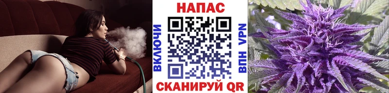 MEGA онион  Елизово  нарко площадка формула  Марихуана Amnesia 